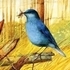 Art Birds Puzzle