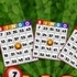 Bingo Revealer